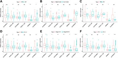 Recognition of Glycometabolism-Associated lncRNAs as Prognosis Markers for Bladder Cancer by an Innovative Prediction Model